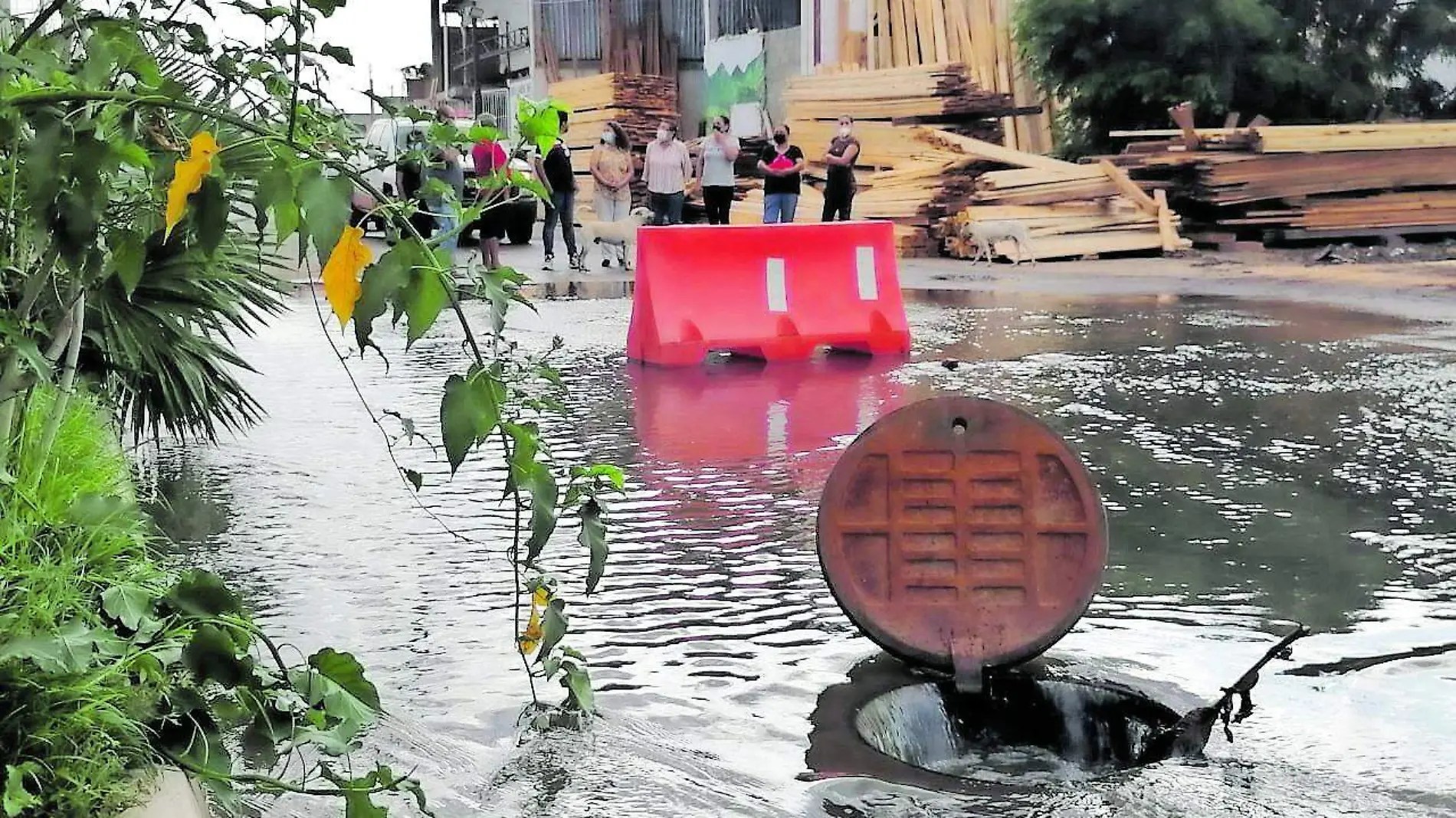 fórmula para Mazatlán